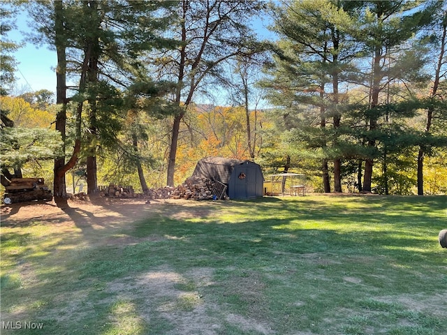 view of yard featuring a storage unit