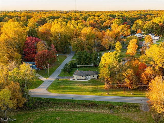 bird's eye view