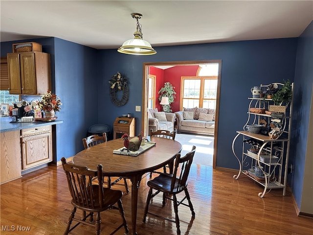 dining room featuring dark hardwood / wood-style flooring