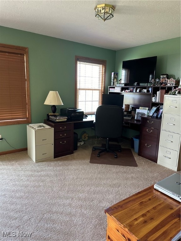 office space with a textured ceiling and light colored carpet