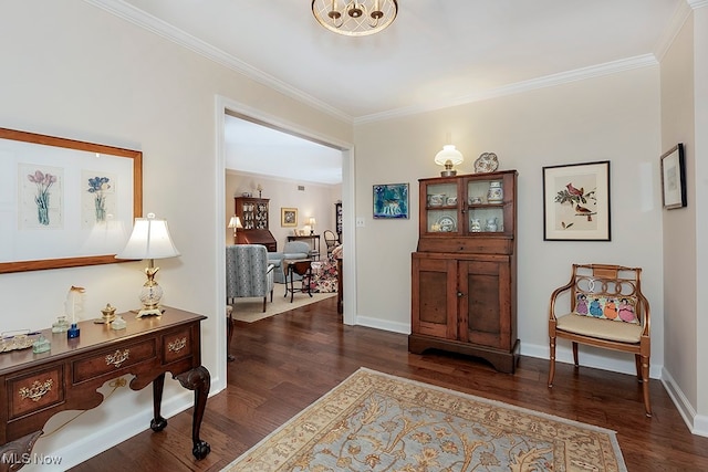 interior space featuring crown molding and dark hardwood / wood-style flooring