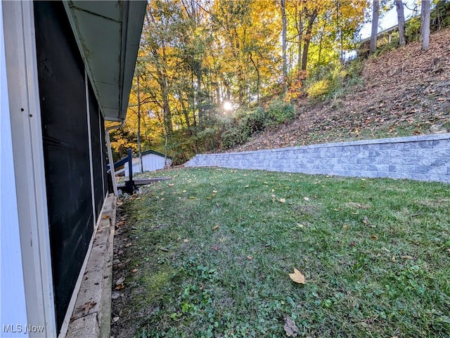 view of yard with a storage unit