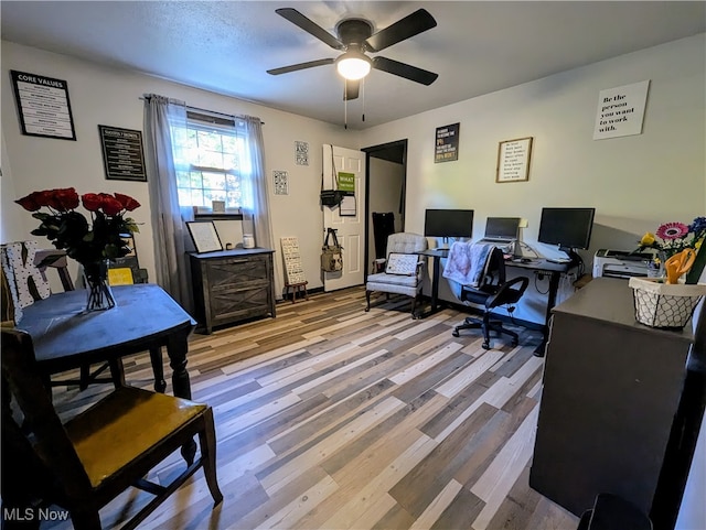 home office featuring light hardwood / wood-style floors and ceiling fan