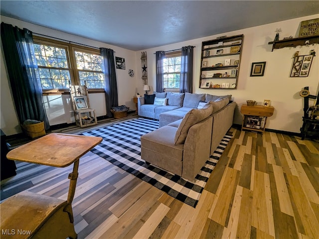 living room with hardwood / wood-style flooring