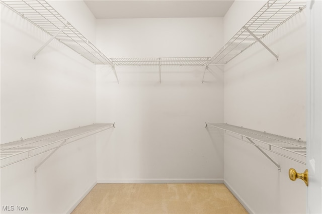 walk in closet with light carpet