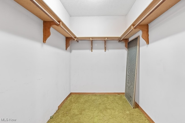 walk in closet with light carpet