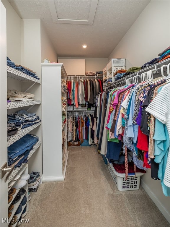 walk in closet featuring light colored carpet