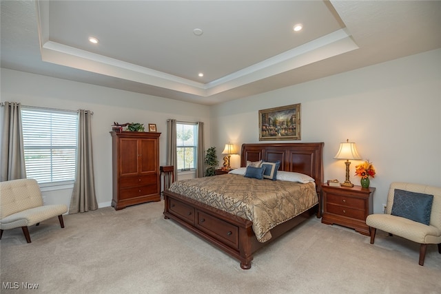 carpeted bedroom featuring a raised ceiling