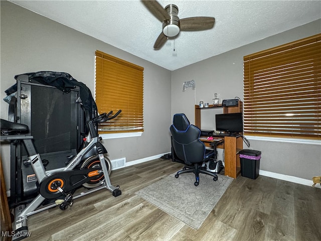 office space with hardwood / wood-style floors, a textured ceiling, and ceiling fan