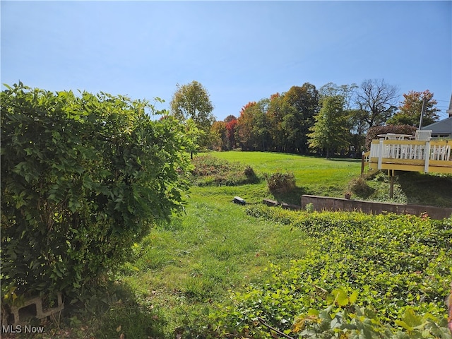 view of yard featuring a deck