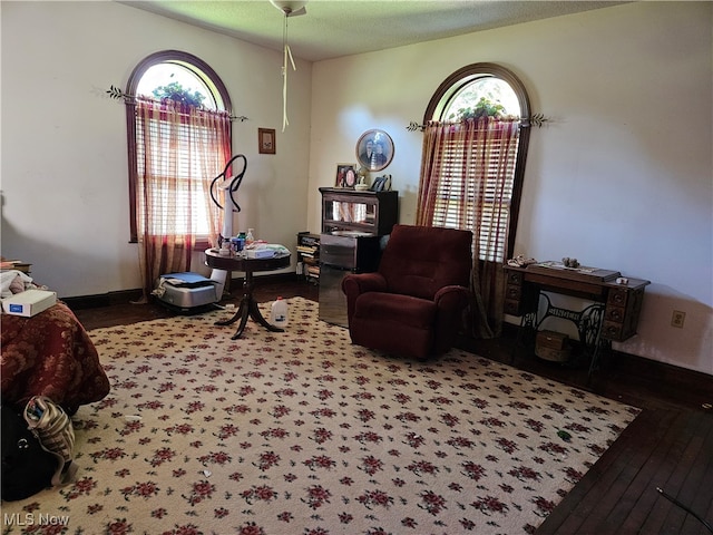 living area featuring hardwood / wood-style floors and a textured ceiling