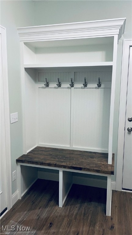 mudroom featuring dark hardwood / wood-style floors