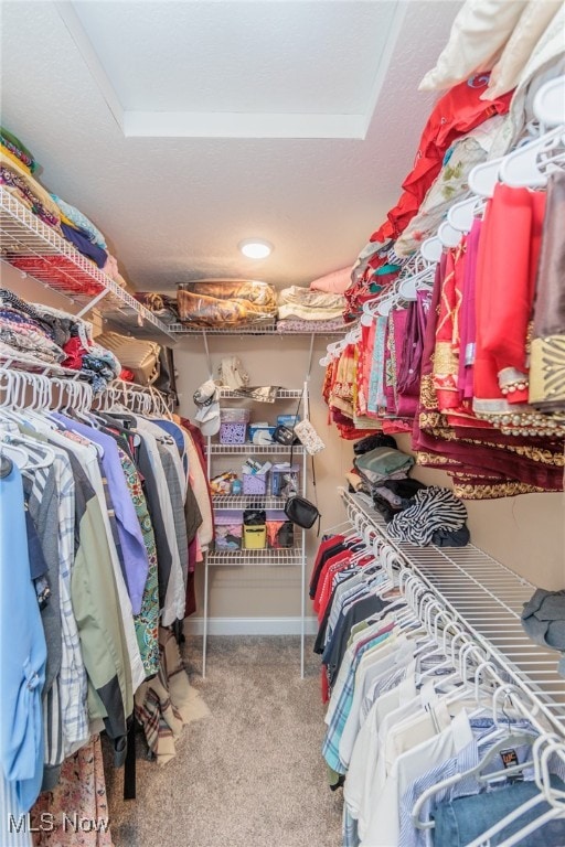 spacious closet with carpet