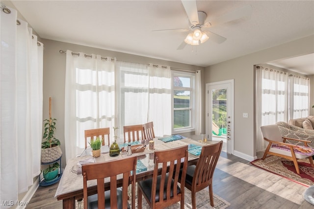 dining area with dark hardwood / wood-style floors and ceiling fan