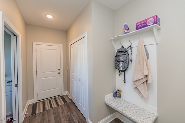 mudroom featuring dark hardwood / wood-style flooring