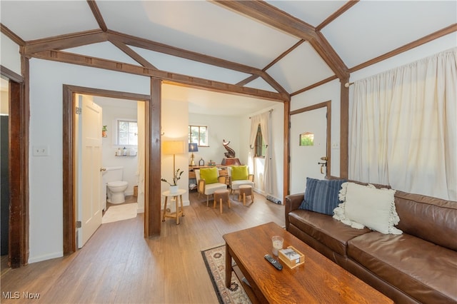 living room with light hardwood / wood-style flooring and lofted ceiling