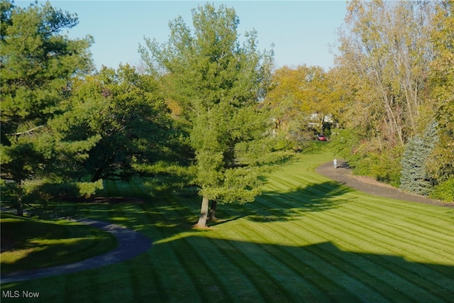 view of home's community featuring a yard