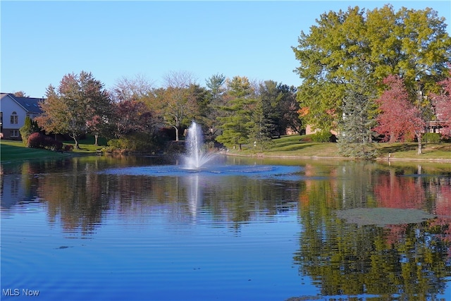 view of water feature