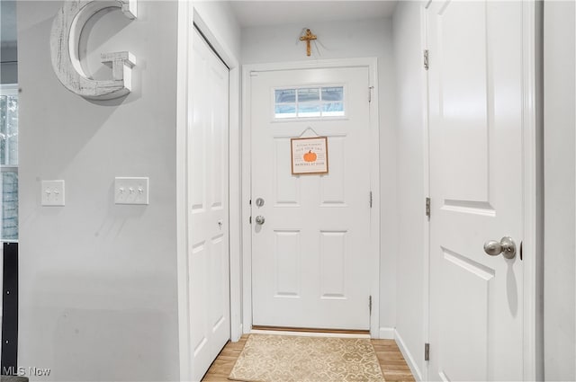 entryway with light hardwood / wood-style flooring and a wealth of natural light