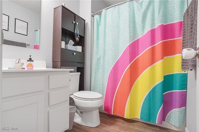 bathroom featuring vanity, toilet, and wood-type flooring