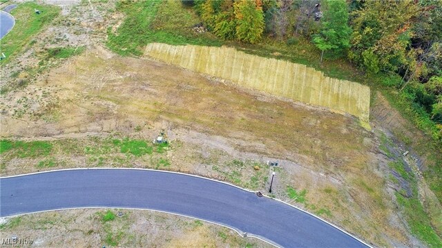 12 Blue Heron Ct, Painesville, OH 44077 - photo 6
