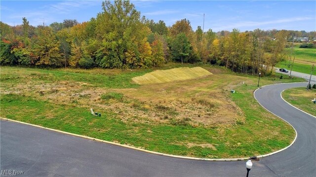 30 Blue Heron Ct, Painesville, OH 44077 - photo 6