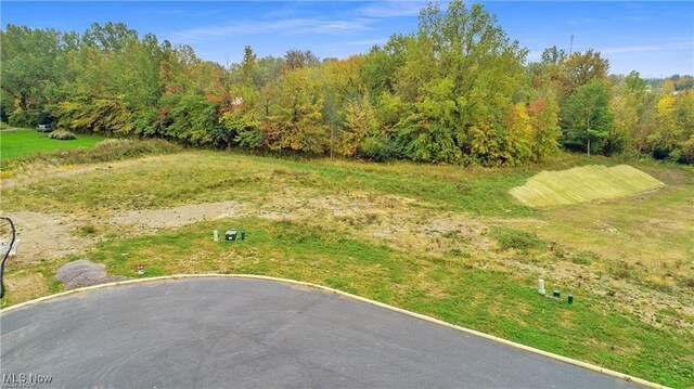 42 Blue Heron Ct, Painesville, OH 44077 - photo 6