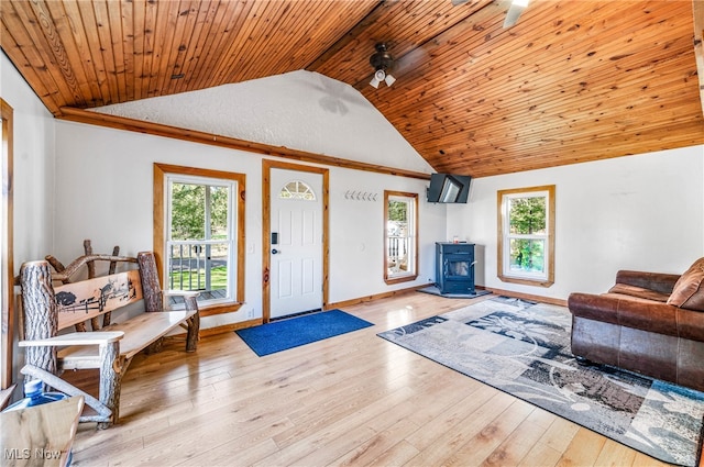 living room with light hardwood / wood-style flooring, a wood stove, and a healthy amount of sunlight