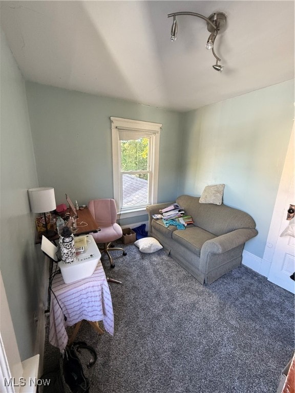 carpeted living room with rail lighting