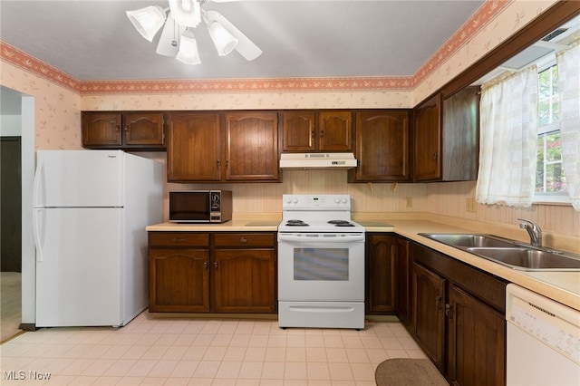 kitchen featuring sink, dark brown cabinets, white appliances, and ceiling fan