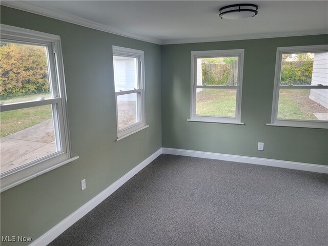 carpeted spare room featuring a wealth of natural light and ornamental molding