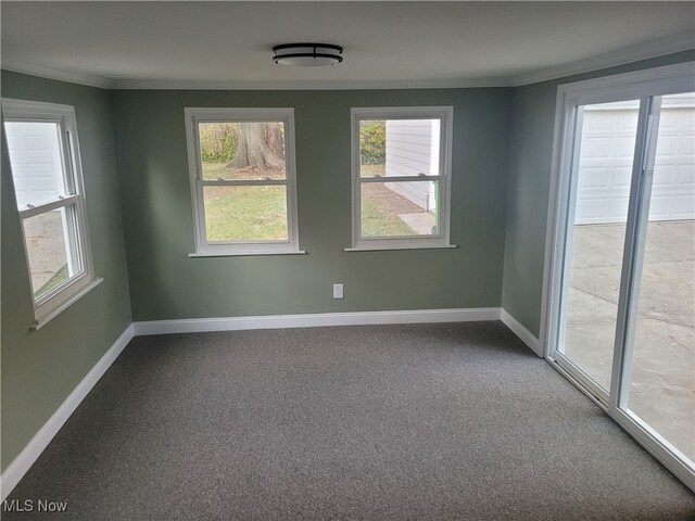 carpeted empty room featuring a wealth of natural light and crown molding