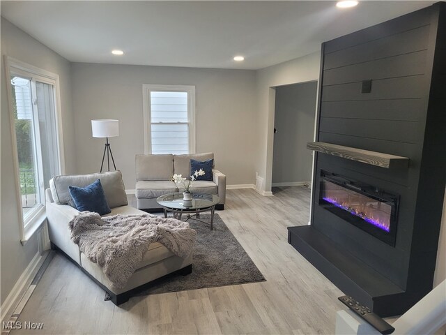 living room with a large fireplace and light hardwood / wood-style flooring