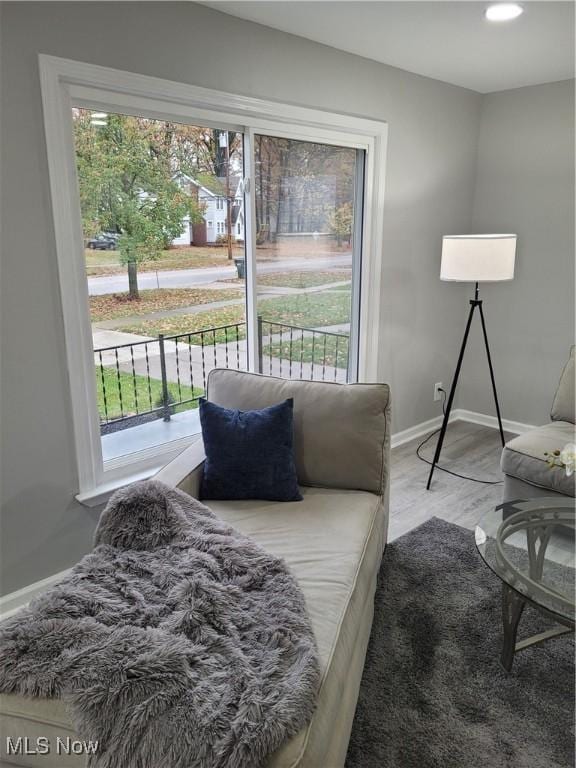 bedroom with hardwood / wood-style floors