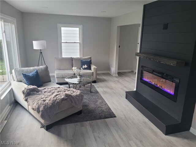 living room with a fireplace, light hardwood / wood-style floors, and plenty of natural light