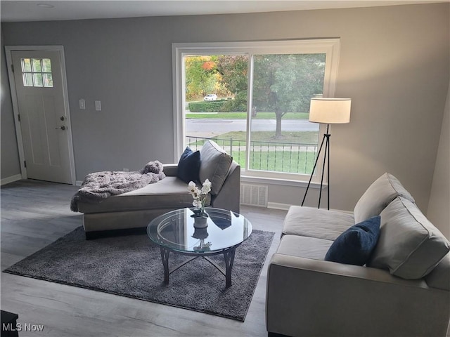 living room with light wood-type flooring and a wealth of natural light