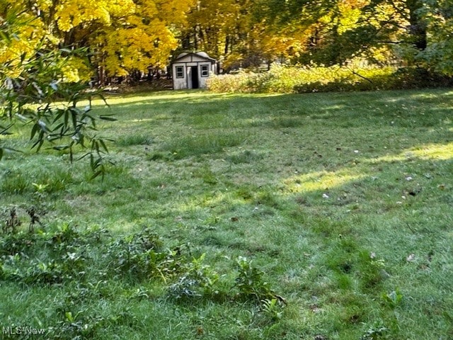 view of yard with a storage unit