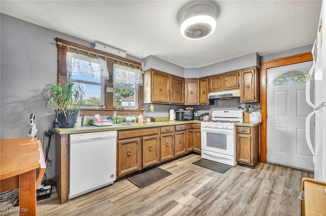 kitchen with sink, light wood-type flooring, and white appliances