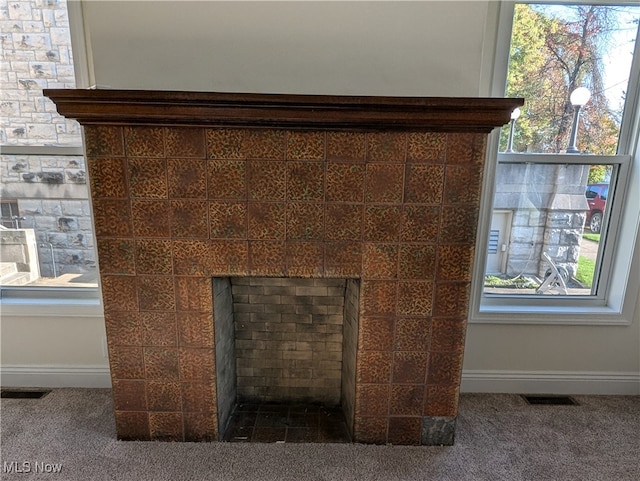 room details with a fireplace and carpet flooring