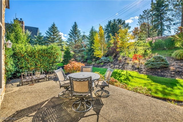 39470 Stillman Ln, Willoughby, OH 44094 - view of patio