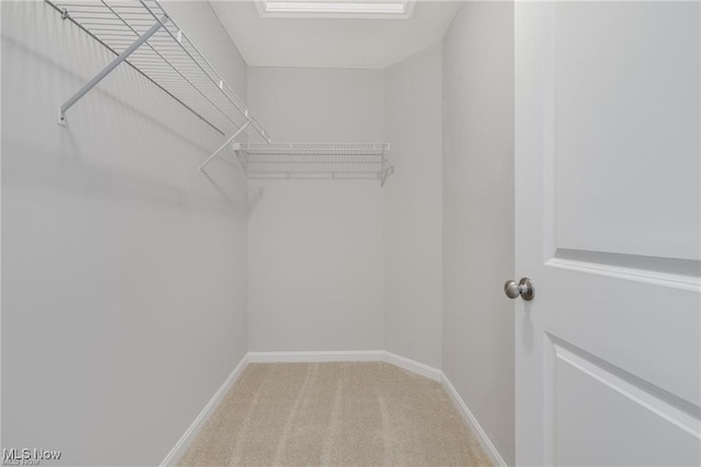 spacious closet featuring carpet