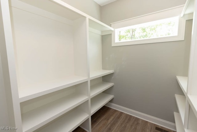 walk in closet with dark hardwood / wood-style floors