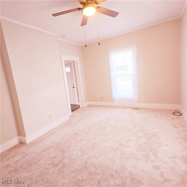 spare room with ceiling fan, carpet, and ornamental molding