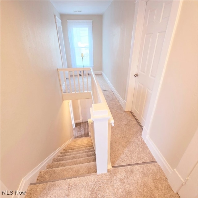 staircase featuring carpet