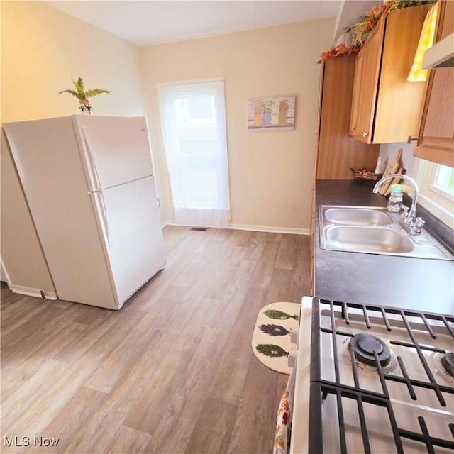 kitchen featuring sink, light hardwood / wood-style flooring, and white refrigerator