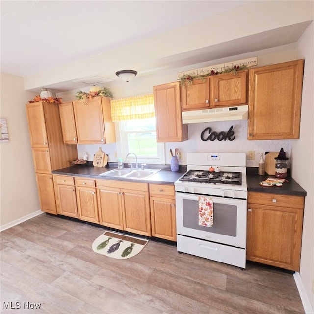 kitchen featuring sink, hardwood / wood-style flooring, and white range oven