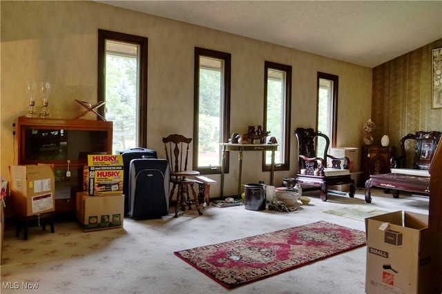 miscellaneous room featuring a textured ceiling, carpet floors, and plenty of natural light