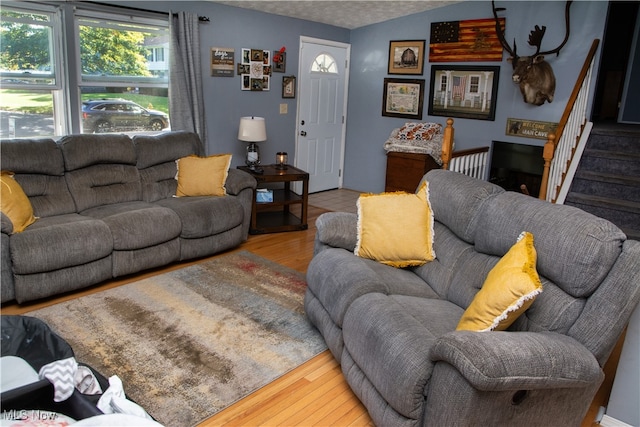 living room with hardwood / wood-style floors and lofted ceiling