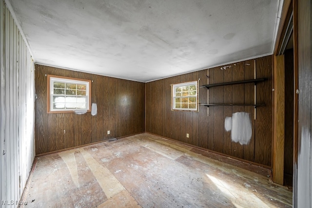 spare room featuring wood walls and plenty of natural light