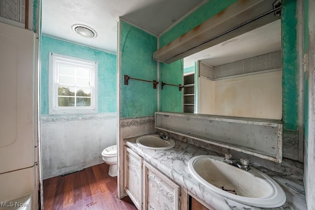 5552 Nelson Mosier Rd, Southington, OH 44470 - bathroom with toilet, double vanity, a sink, and wood finished floors
